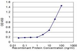 Detection limit for recombinant GST tagged CD8A is approximately 3ng/ml as a capture antibody. (CD8 alpha antibody  (AA 1-235))