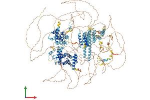 Protein Structure (PS) image for Eukaryotic Translation Initiation Factor 4 Gamma, 1 (EIF4G1) (AA 1-1600) protein (His tag) (ABIN7564070)