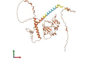 AlphaFold protein structure predicition of Human Recombinant FAM157A Protein, UniprotID C9JC47 (FAM157A Protein (AA 1-383) (His tag))