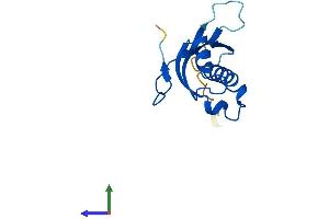 AlphaFold protein structure predicition of Human Recombinant RPL31 Protein, UniprotID P62899 (RPL31 Protein (AA 1-125) (His tag))