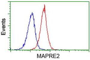 Flow cytometric Analysis of Jurkat cells, using anti-MAPRE2 antibody (ABIN2454553), (Red), compared to a nonspecific negative control antibody, (Blue).