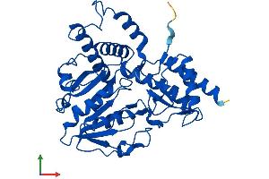 AlphaFold protein structure predicition of Mouse Recombinant Psat1 Protein, UniprotID Q99K85 (PSAT1 Protein (AA 1-370) (His tag))