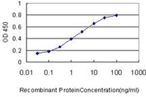 Detection limit for recombinant GST tagged WNK3 is approximately 0. (WNK3 antibody  (AA 1-100))