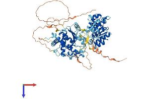 AlphaFold protein structure predicition of Mouse Recombinant Ddx31 Protein, UniprotID Q6NZQ2 (DDX31 Protein (AA 1-687) (His tag))