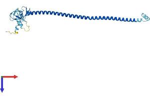 Protein Structure (PS) image for Tripartite Motif Containing 74 (TRIM74) (AA 1-250) protein (His tag) (ABIN7544774)