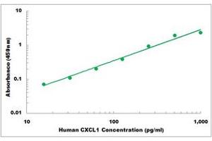 Representative Standard Curve (CXCL1 ELISA Kit)