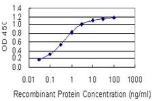 Detection limit for recombinant GST tagged OTP is 0. (OTP antibody  (AA 11-120))
