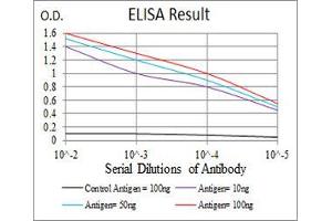 Black line: Control Antigen (100 ng), Purple line: Antigen(10 ng), Blue line: Antigen (50 ng), Red line: Antigen (100 ng), (LDLR antibody  (AA 22-150))