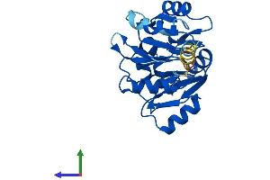AlphaFold protein structure predicition of Human Recombinant EIF6 Protein, UniprotID P56537 (EIF6 Protein (AA 1-245) (His tag))