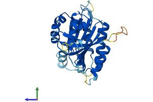 AlphaFold protein structure predicition of Mouse Recombinant Elp6 Protein, UniprotID Q8BK75