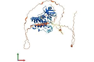 Protein Structure (PS) image for Receptor-Interacting serine-threonine Kinase 3 (RIPK3) (AA 1-518) protein (His tag) (ABIN7555237)