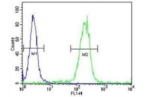 EGR1 antibody flow cytometric analysis of WiDr cells (right histogram) compared to a negative control (left histogram). (EGR1 antibody  (AA 9-37))