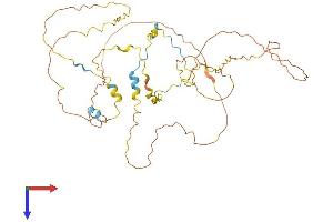 Family with Sequence Similarity 53, Member B (FAM53B) (AA 1-422) protein (His tag)