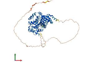 Protein Structure (PS) image for DEAD (Asp-Glu-Ala-Asp) Box Polypeptide 5 (DDX5) (AA 1-614) protein (His tag) (ABIN7563927)