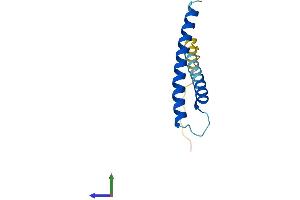 Protein Structure (PS) image for Translocase of Inner Mitochondrial Membrane 13 Homolog (TIMM13) (AA 1-95) protein (His tag) (ABIN7556597)