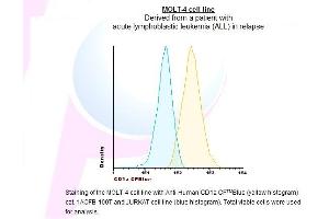 Image no. 1 for anti-CD1a (CD1a) antibody (CF405M) (ABIN1112080) (CD1a antibody  (CF405M))