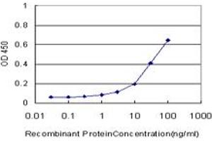 Detection limit for recombinant GST tagged ALDH3A1 is approximately 1ng/ml as a capture antibody. (ALDH3A1 antibody  (AA 1-453))