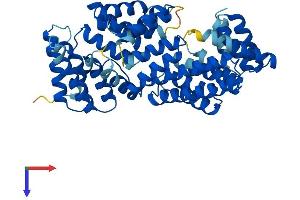 Interferon-Induced Protein with Tetratricopeptide Repeats 5 (IFIT5) (AA 1-482) protein (His tag)