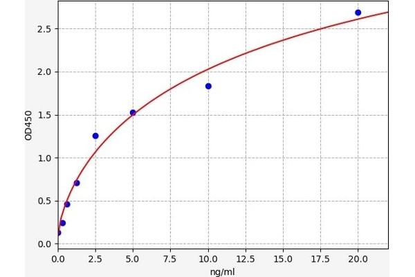 TACR2 ELISA Kit