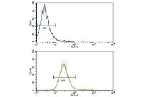 Flow cytometric analysis of NCI-H460 cells using NRG1 antibody (green) compared to a negative control (blue). (Neuregulin 1 antibody  (AA 198-229))