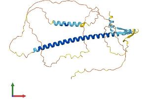 AlphaFold protein structure predicition of Human Recombinant CREBZF Protein, UniprotID Q9NS37