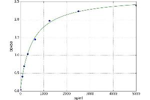 serpin Peptidase Inhibitor, Clade B (Ovalbumin), Member 3 (SERPINB3) ELISA Kit