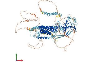 Protein Structure (PS) image for Rhomboid 5 Homolog 1 (RHBDF1) (AA 1-856) protein (His tag) (ABIN7564139)