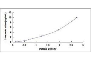 Typical standard curve (NF-kB p65 ELISA Kit)