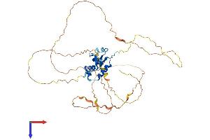AlphaFold protein structure predicition of Human Recombinant FOXD4L6 Protein, UniprotID Q3SYB3 (FOXD4L6 Protein (AA 1-417) (His tag))