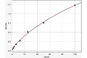 REG3A ELISA Kit