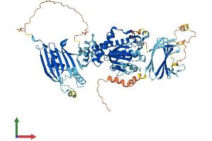 Protein Structure (PS) image for SEC14-Like 1 (SEC14L1) (AA 1-715) protein (His tag) (ABIN7562022)