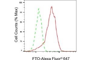 Flow cytometric analysis of FTO expression in HepG2 cells using FTO antibody (ABIN7798582), 1:2,000). (Recombinant FTO antibody)