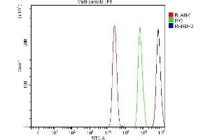 Flow Cytometry analysis of MCF-7 cells using anti-RANBP2 antibody (ABIN7602650). (RANBP2 antibody  (AA 906-2744))