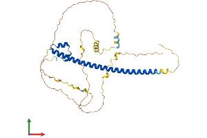 Protein Structure (PS) image for Transcription Factor MafB (MAFB) (AA 1-323) protein (His tag) (ABIN7563450)