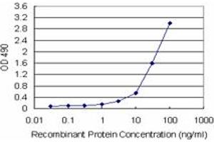 Sandwich ELISA detection sensitivity ranging from 1 ng/mL to 100 ng/mL. (KHK (Human) Matched Antibody Pair)