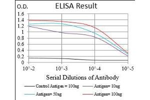 Black line: Control Antigen (100 ng), Purple line: Antigen(10 ng), Blue line: Antigen (50 ng), Red line: Antigen (100 ng), (CD36 antibody  (AA 30-130))