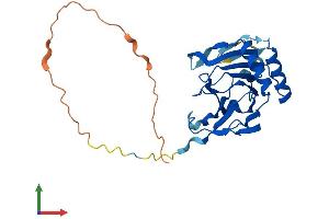 AlphaFold protein structure predicition of Human Recombinant ALKBH3 Protein, UniprotID Q96Q83