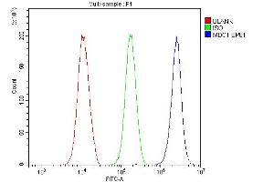 Flow Cytometry analysis of 293T cells using anti-MDC1 antibody (ABIN5693232). (MDC1 antibody  (AA 534-626))