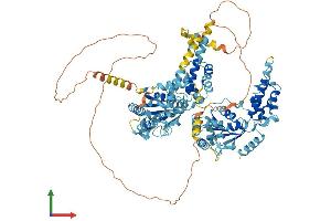 AlphaFold protein structure predicition of Human Recombinant NVL Protein, UniprotID O15381 (NVL Protein (AA 1-856) (His tag))