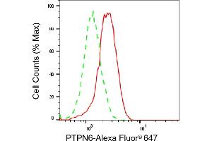 Flow cytometric analysis of PTPN6 expression in A549 cells using PTPN6 antibody (ABIN7800047), 1:2,000). (SHP1 antibody)
