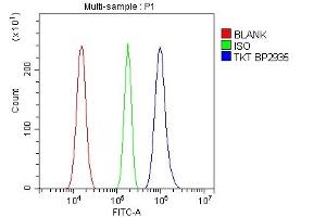 Flow Cytometry analysis of U87 cells using anti-Transketolase/TKT antibody (ABIN7598959). (TKT antibody  (AA 1-116))