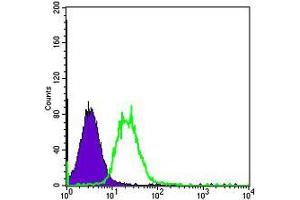 Flow Cytometry (FACS) image for anti-FYN Oncogene Related To SRC, FGR, YES (FYN) antibody (ABIN969159)