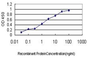 Detection limit for recombinant GST tagged AK3 is approximately 0. (Adenylate Kinase 3 antibody  (AA 25-86))