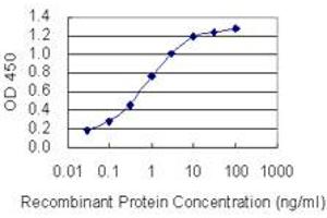 Detection limit for recombinant GST tagged RPGRIP1 is 0. (RPGRIP1 antibody  (AA 1187-1286))