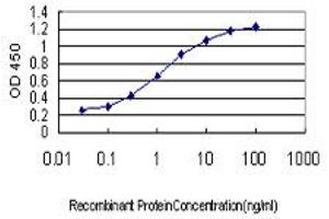 Detection limit for recombinant GST tagged RBAK is approximately 0. (RBAK antibody  (AA 51-150))