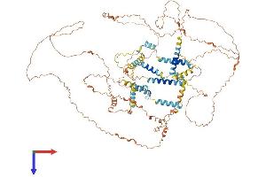 AlphaFold protein structure predicition of Human Recombinant SPATA31D3 Protein, UniprotID P0C874 (SPATA31D3 Protein (AA 1-917) (His tag))