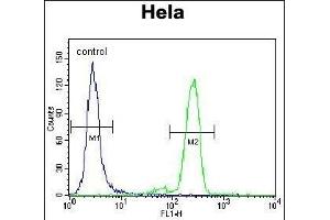 L Sumoylation Site Antibody (ABIN389073 and ABIN2839274) flow cytometric analysis of Hela cells (right histogram) compared to a negative control cell (left histogram).