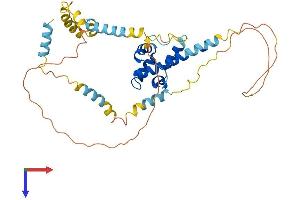 AlphaFold protein structure predicition of Mouse Recombinant Syap1 Protein, UniprotID Q9D5V6 (SYAP1 Protein (AA 1-365) (His tag))