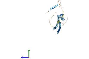 AlphaFold protein structure predicition of Human Recombinant STX18 Protein, UniprotID Q9P2W9 (Syntaxin 18 Protein (STX18) (AA 1-335) (His tag))