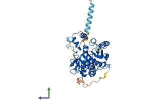 AlphaFold protein structure predicition of Mouse Recombinant B3gnt7 Protein, UniprotID Q8K0J2 (B3GNT7 Protein (AA 1-397) (His tag))